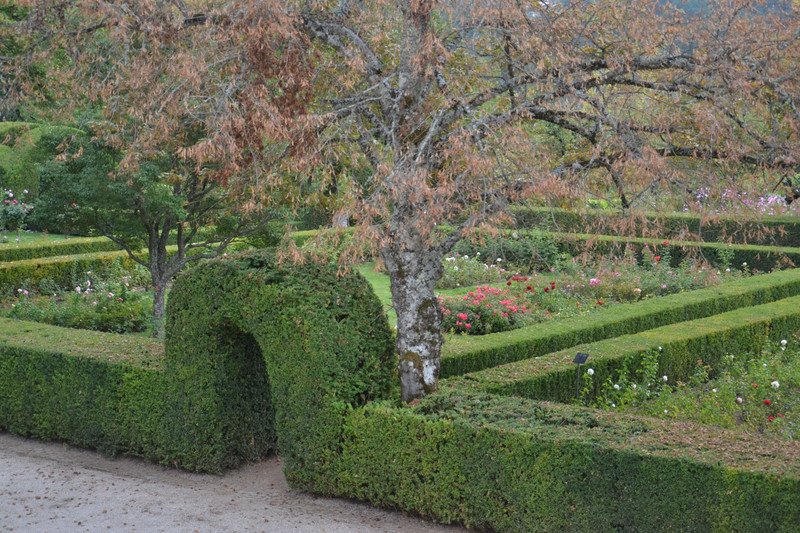 Mateus Palace - Garden
