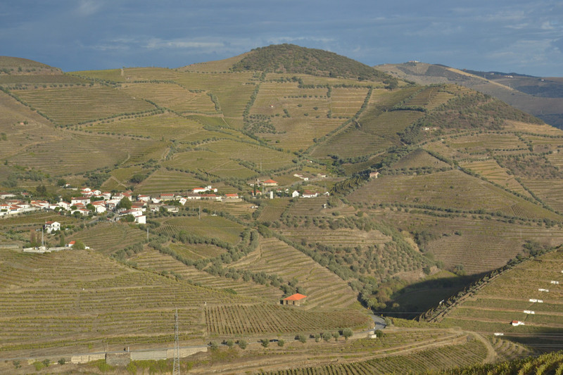 Douro Wine Region