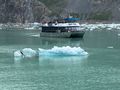 Tour Boat in the Ice Field