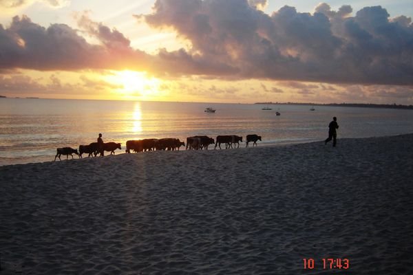 Sunrise Dar es Salam
