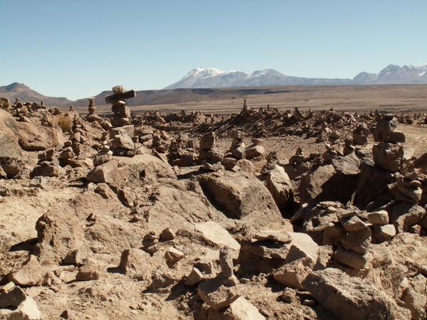 The Andean Plateau