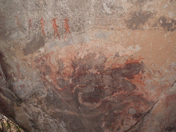 Bushmen's paintings