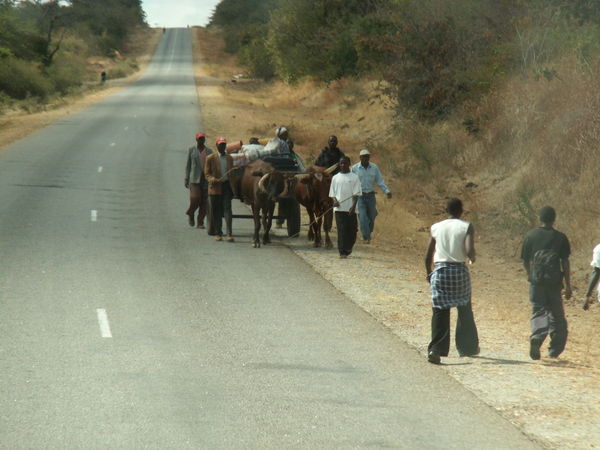 Rural transport....