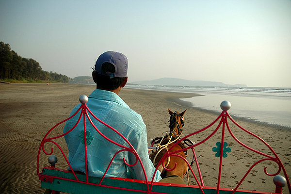 Little horse ride on the beach