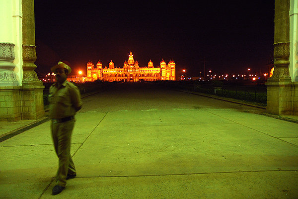 Palace at night