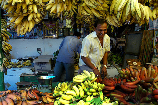 Red banana salesmen