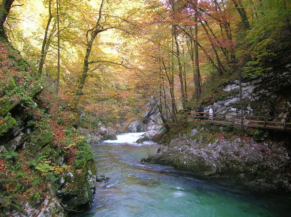 Vintar Gorge - Slovenia