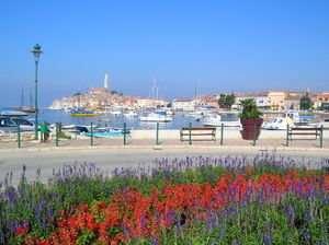 Rovinj harbour - Croatia
