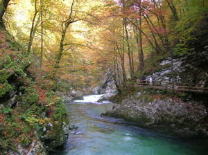 Vintar Gorge - Slovenia