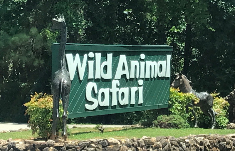 Pine Mountain Wild Animal Safari