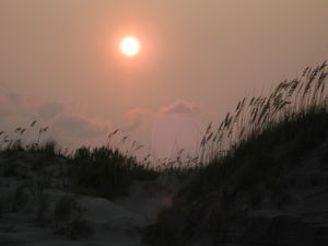 Sunset Beach Dunes