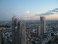 Tokyo from the 45th floor - Tokyo vu du 45eme etage