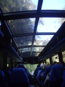 Bus avec toit en verre pour voir dehors! Cool! Bus with a glass roof to see outside!