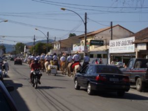 Chevaux dans les rues - Horses in the streets