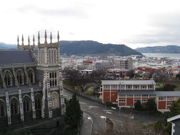 Dunedin from our room
