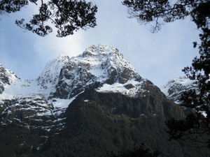 A view on the way to Milford Sound