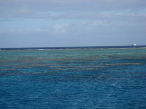 Surface view of the coral reef 