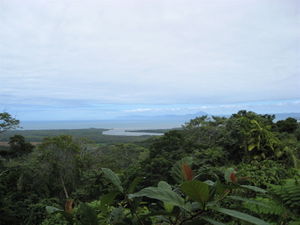 Daintree river flowing into the Pacific
