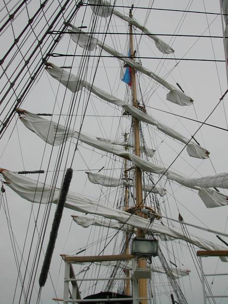 In the rigging