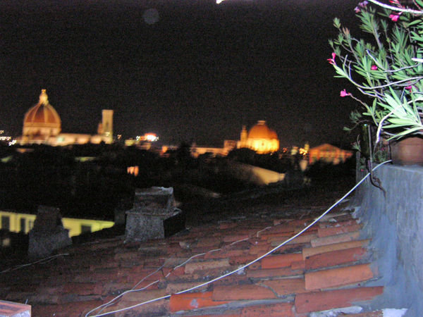 Roof view of Florence, nighttime