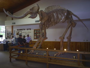 Mammoth Site entrance