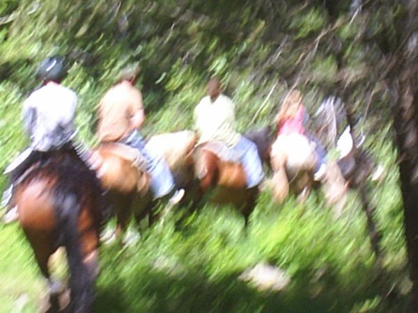 Horseback riding and photography...not a good mix.