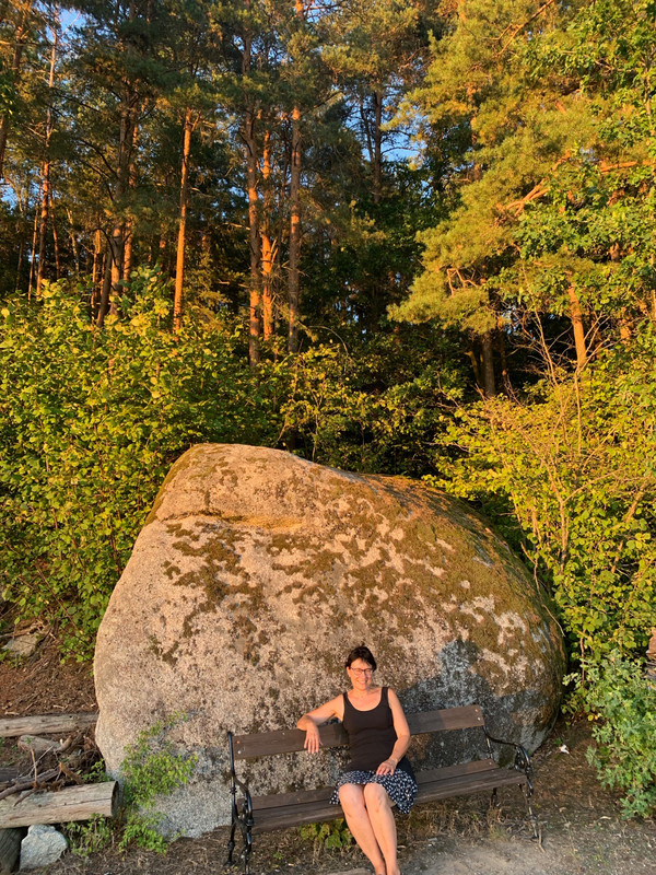 Typical large boulder in the Waldviertel