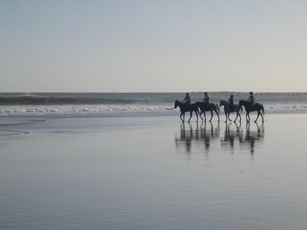 Horse Riders on the beach