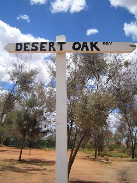Road sign at Cattle Station