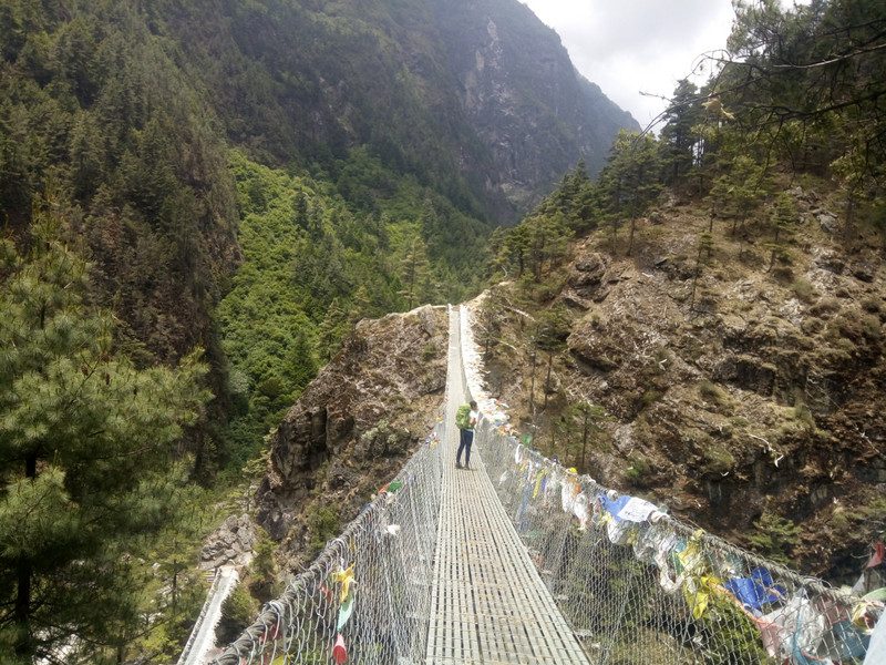 Everest trekking in Nepal,Ace vision Nepal (3)