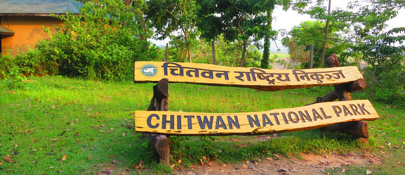 chitwan-jungle-safari,ace-vision-nepal