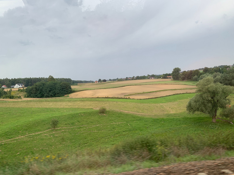 Scenery from the train from Warsaw to Krakow 