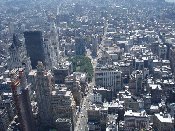View From Empire State Building (New York)