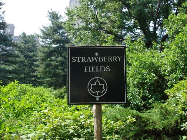 Strawberry Fields (New York)