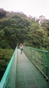walking on a hanging bridge