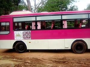 hot pink bus