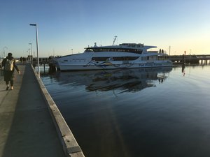 The ferry at dawn in Port Arlington 