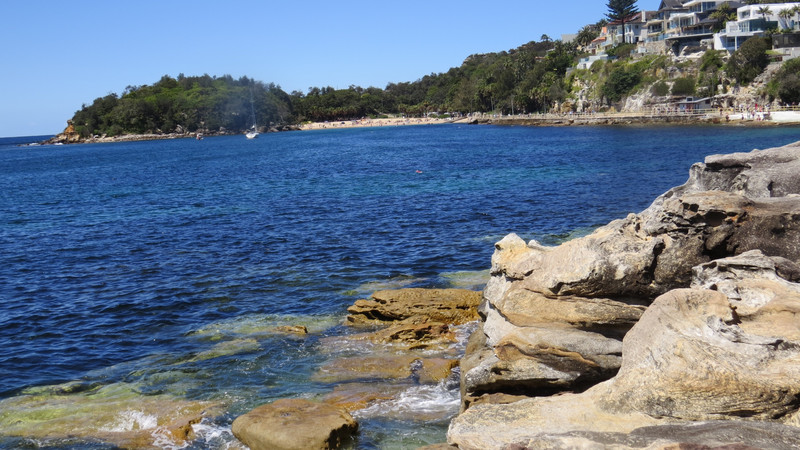 Manly looking towards Shelly Beach