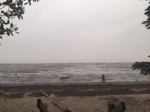 Willapa Bay low tide.