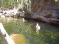 A swimming hole