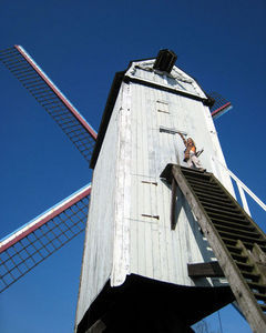 Little Miss Windmill