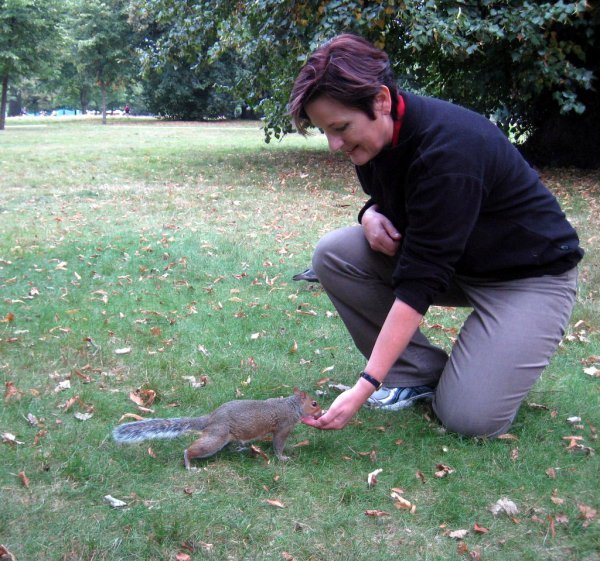Feeding The Squirrels In Hyde Park