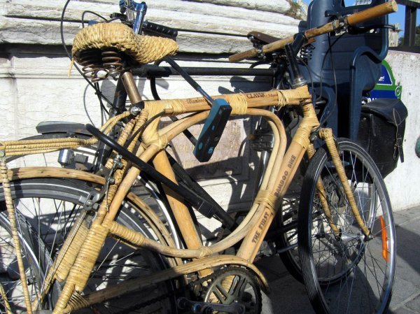 The First Bamboo Bike
