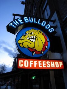 The Bulldog Coffeeshop