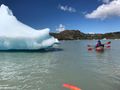 Dwarfed by the icebergs on Lago Grey