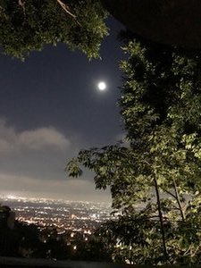 L.A. Night