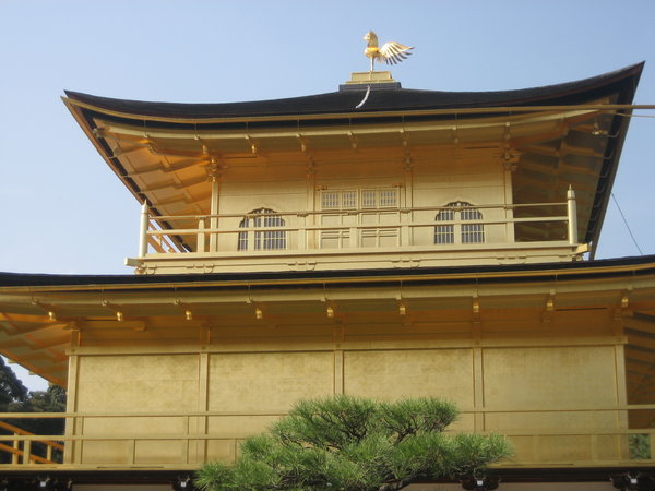 The Golden Pavilion