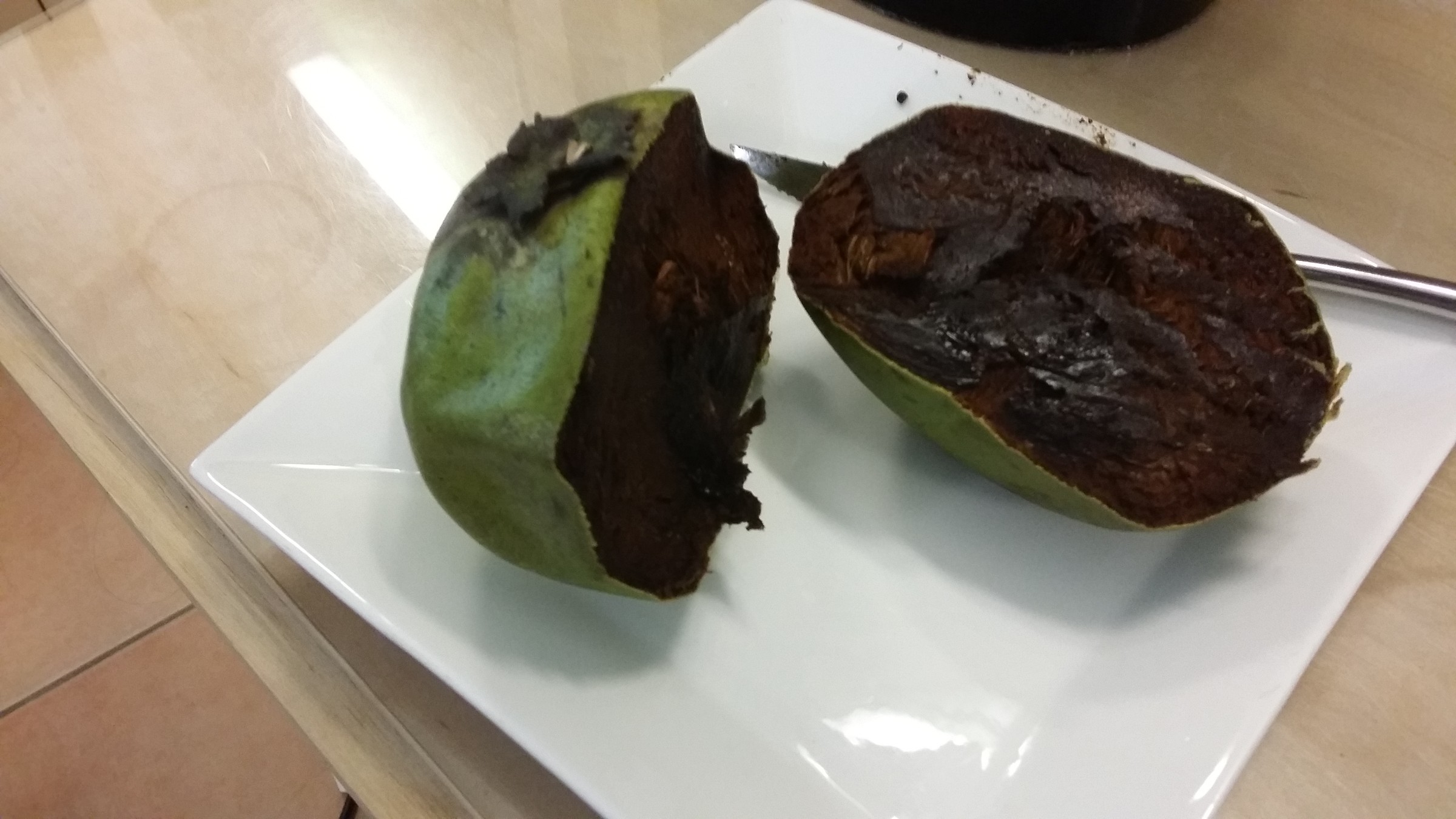 Black sapote Photo