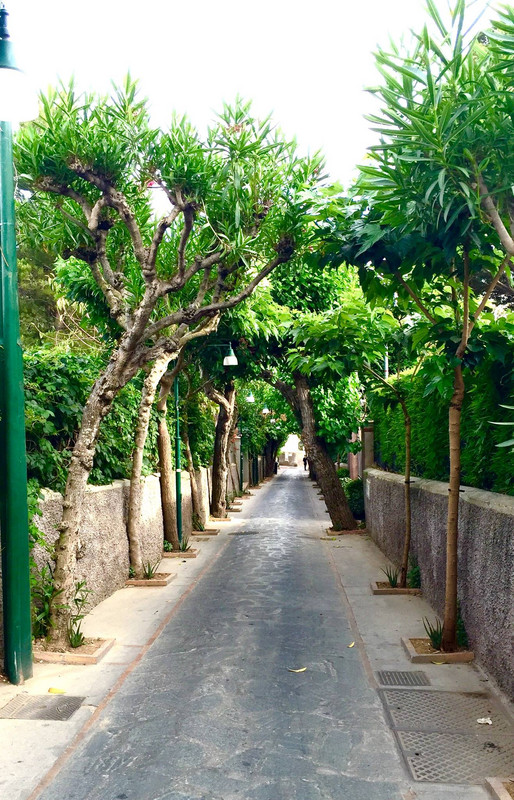 Cute little streets in Capri