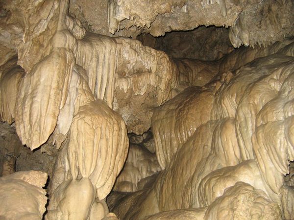 Oregon Caves 2